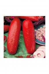 Tohum Dünyam Nadir İthal Kırmızı Salatalık Tohumu 5 Adet Tohum Red Cucumber - 2