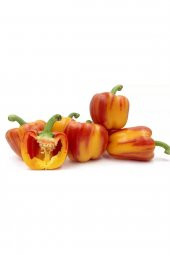 Tohum Dünyam Mozaik Dolmalık Biber Tohumu - 1