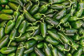 Tohum Dünyam 20 Adet Early Jalapeno Biber Tohumu - 1