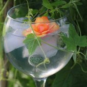 Tohum Dünyam 10 Adet Cucamelon Vine Tohumu - 2