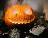 Tohum Dünyam 10 Adet Giant Pumpkin - Big Max Halloween Bal Kabağı Tohumu - 1