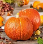 Tohum Dünyam 10 Adet Giant Pumpkin - Big Max Halloween Bal Kabağı Tohumu - 2