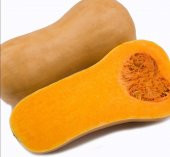 Tohum Dünyam 5 Adet Pumpkin Butternut Sweet Bal Kabağı Tohumu - 1