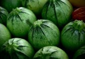 Tohum Dünyam 10 Adet Organik Yuvarlak Kabak Tohumu - 1