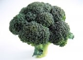 Tohum Dünyam 20 ADET SPROUTING BROCCOLI TOHUMU - 2