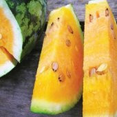 Tohum Dünyam 10 Adet Sweet Tendersweet Portakal Karpuz Tohumu - 2