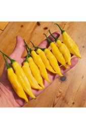 Tohum Dünyam Limon Damlası Acı Biber Tohumu (10 Tohum) thumbnail 1