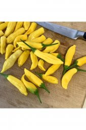 Tohum Dünyam Limon Damlası Acı Biber Tohumu (10 Tohum) thumbnail 2