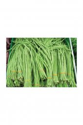 Tohum Dünyam İthal Uzun Çin Fasülyesi Tohumu 3 Fasulye Tohumu - 2