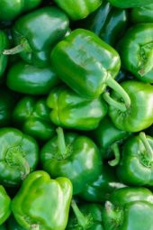 Tohum Dünyam Kandil Dolmalık Biber Tohumu / 20+ Adet Tohum thumbnail 4