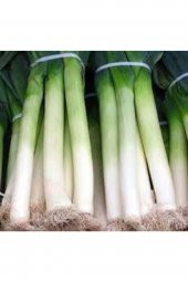 Tohum Dünyam 200 Adet Yeşil Prasa Tohumu - 2