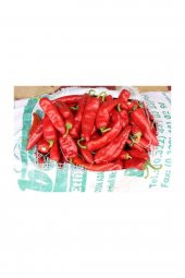 Tohum Dünyam Hafif Acı Adana Karaisalı Salçalık Biber Tohumu 50 Adet Tohum Adana Biberi thumbnail 3