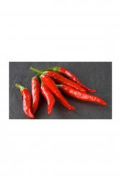 Tohum Dünyam Acı Hatay Biberi Tohumu 40 Adet Tohum Biber Tohum - 3