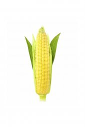 Tohum Dünyam Haşlamalık Süt Mısır Tohumu 20 Adet Tohum - 1