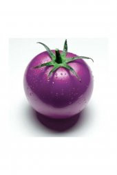 Tohum Dünyam Nadir İthal Mor Domates Tohumu 10 Adet Tohum thumbnail 1