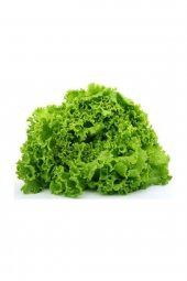 Tohum Dünyam Kıvırcık Marul Tohumu 200 Adet Tohum Sebze Tohumu thumbnail 3