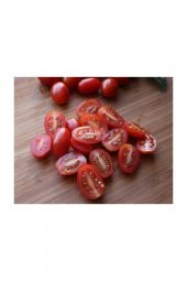 Tohum Dünyam Saksılık Zeytin Domates Tohumu 10 Adet Tohum Kahvaltılık Domates Tohumu thumbnail 5