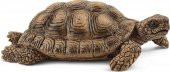 Schleich Kaplumbağa Yuvası 42506 - 3