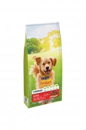 Friskies Active Etli Yetişkin Köpek Maması 10kg Purina - 1