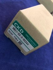 CKD AB21-02-2-DC24V Selenoid Vana - 2