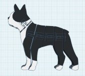 Flexi Boston Terrier Plastik Aparat - 1