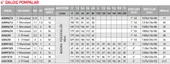 Rainpump 4SGM4/18 1-1/4'' 129Metre Derin Kuyu Dalgıç Pompası - 2