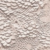 Duka Duvar Kağıdı Lifestyle Angel DK.23530-2 (10 m2 ) - 3