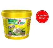 Ahm Spirulina Garlic Sarımsaklı Balık Yemi ( KOVADAN BÖLME ) 50 Gr - 1