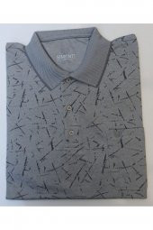 SİMENTİ POLO YAKA BATTAL BEDEN  RAHAT KALIP PAMUKLU T-SHIRT thumbnail 2