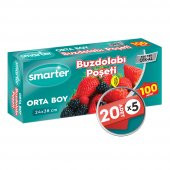 SMARTER BUZDOLABI POŞETİ ORTA BOY 100 ADET ( 20 ADET x 5 ) - 1