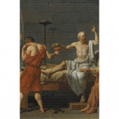 Duvar Örtüsü Baldıran Zehri Içen Sokrates Kaliteli Kanvas Duvar Halısı 100 x 65 cm - 2