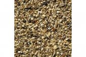 Sağlık Tohumu Kuş Yemi 60 Gr - 1