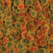 Tetra Pro Energy Cips Balık Yemi ( Kovadan Bölme ) 50 GR - 3