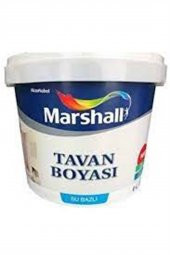 TAVAN BOYASI ORTA 6 L (10 KG) - 1