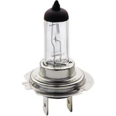 Narva H7 12V 55W Standart Halogen Ampul 1 Adet thumbnail 1