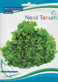 NESİL MARUL TOHUMU  ( İRİ KIVIRCIK )- 5 GR - 1