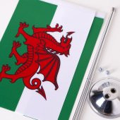 Galler 2li Masa Bayrağı Saten Kumaş Dijital Baskı 15x22,5 cm - 2