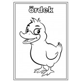 Hayvanlar Boyama Kitabı (2-5 Yaş) - 4