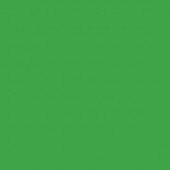 Gdx Kağıt Sonsuz Stüdyo Fon Perde (Green/Yeşil) 2.70x11 Metre - 2