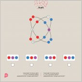 MIND 9+ Yaş  IQ, Dikkat ve Yetenek Geliştiren Kitaplar Serisi - 3
