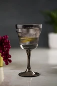 Akrilik Füme Tekli Kadeh & Su Meşrubat Kahve Yanı Bardağı 300 ml ( Cam Değildir ) - 1