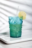 Akrilik Aquamarin Tekli Kısa Bardak & Su Meşrubat Kahve Yanı Bardağı 400 ml ( Cam Değildir ) - 1