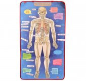 İskelet Sistemi Keçe Duvar Panosu , Eğitici Oyuncak - 1