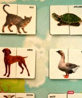 Parça Bütün Eşleştirme - Evcil Hayvanlar Keçe Cırtlı Duvar Panosu , Eğitici Oyuncak - 10