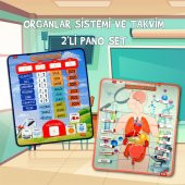 2 Set - 69 Parça  İç Organlar ve Takvimi Öğreniyorum Keçe Cırtlı Duvar Panoları , Eğitici Oyuncak - 2