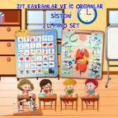 2 Set - 62 Parça  İç Organlar ve Zıt Kavramlar Keçe Cırtlı Duvar Panoları , Eğitici Oyuncak - 2