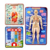 3 Set -106 Parça  İç Organlar , İskelet  Sistemi ve Takvimi Öğreniyorum Keçe Cırtlı Duvar Panoları , Eğitici Oyuncak - 1