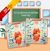 2 Set - 52 Parça  İç Organlar Sistemi Keçe Duvar Panoları , Eğitici Oyuncak - 2