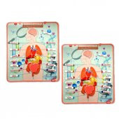2 Set - 52 Parça  İç Organlar Sistemi Keçe Duvar Panoları , Eğitici Oyuncak - 6