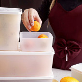 Porsima Hobby Life 1155 Alaska No Frost -20°C 6lı Dondurucu Saklama Kabı - 2